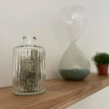 Apartamento Cocon Douillet Pres De La Gare. Nancy