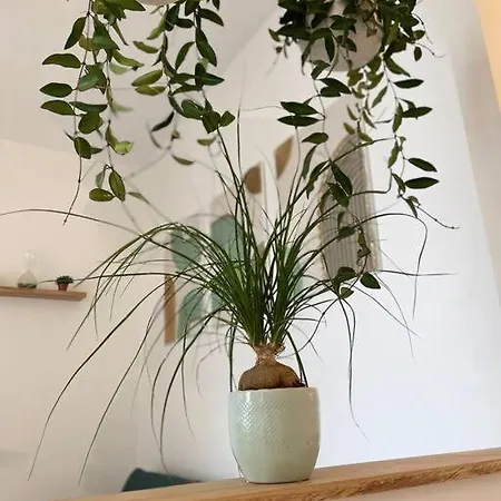 Apartamento Cocon Douillet Pres De La Gare. Nancy