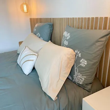 Cocon Douillet Pres De La Gare. Nancy