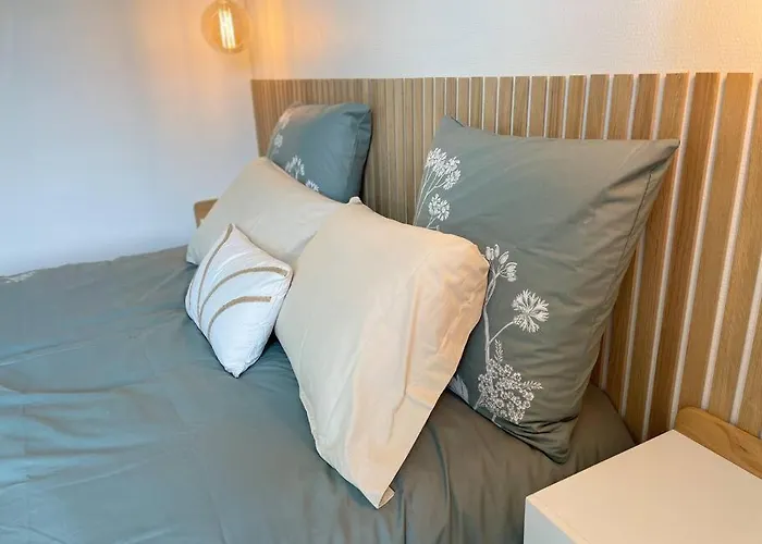 Cocon Douillet Pres De La Gare. Nancy